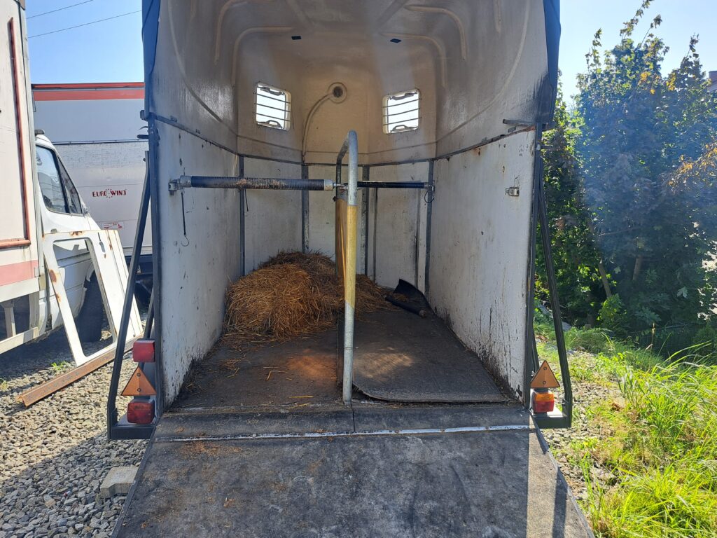 Westema Przyczepa na konie mega okazja 8.400 zł